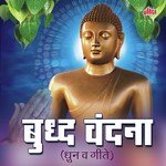 Sankalp Harshala Kadam,Dipali Shirke,Vijaya Jadhav,Asha Kamble,Aishwarya Powar,Shweta Yadav,Nanda Gaikwad,Vidya Tambe,Seema Ubale,Sonal Kamble Song Download Mp3