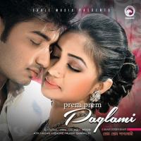 Sajna Tole Bajna Palash Sen,Moon Song Download Mp3