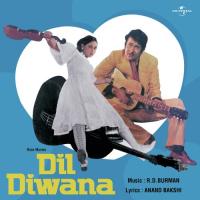 Main Ladki Tu Ladka (Dil Diwana  Soundtrack Version) Asha Bhosle Song Download Mp3