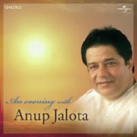 Jo Log Janboojh Ke (Album Version) Anup Jalota Song Download Mp3