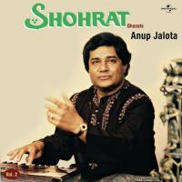 Hum Safar Gham Jo Mohabbat (Album Version) Anup Jalota Song Download Mp3