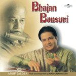 Mhare Janam Maran (Raag Bhairavi) (Album Version) Anup Jalota Song Download Mp3