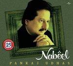 Har Pal Hadsa (Album Version) Pankaj Udhas Song Download Mp3