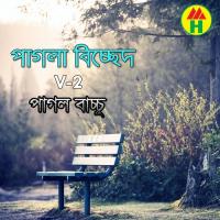 Ogo Tomar Lila Pagol Bacchu Song Download Mp3