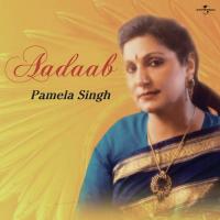 Wo Jisne Kar Diya Raaton Ko Beqaraar Mujhe (Album Version) Pamela Singh Song Download Mp3