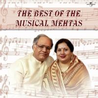 Jab Bhi Choom Leta Hoon (Album Version) Rajendra Mehta Song Download Mp3