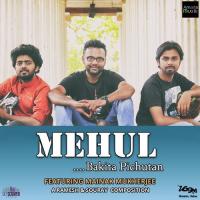 Mehul Mainak Mukherjee Song Download Mp3