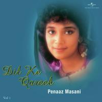 Na Jaane Kyoon (Album Version) Peenaz Masani Song Download Mp3