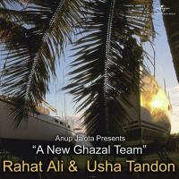 Toot Te Lamhon Ko (Album Version) Rahat Fateh Ali Khan,Usha Tandon Song Download Mp3