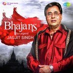 Mera Jeevan Teri Sharan Jagjit Singh Song Download Mp3