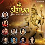 Dhyanam Shlok Asha Bhosle Song Download Mp3