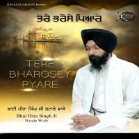 Tum Maat Pita Hum Barik Tere Bhai Hira Singh Ji Batale Wale Song Download Mp3