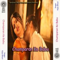 Sajaniya Ho Kaise Larbu Election Vijay Bihari Song Download Mp3