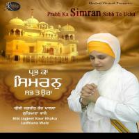 Daya Karo Bibi Jagjeet Kaur Khalsa Ludhiana Wale Song Download Mp3