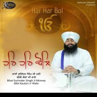 Har Har Bol Katha Sun Har Ki Bhai Surinder Singh Ji Money Bibi Kaulan Ji Wale Song Download Mp3