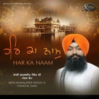 Tere Bharose Pyare Bhai Kamaldeep Singh Ji Nangal Dam Song Download Mp3