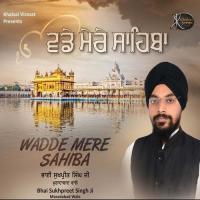 Ab Hum Chali Thakur Peh Haar Bhai Sukhpreet Singh Ji Moradabad Wale Song Download Mp3