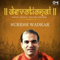 Mann Lago Mere Yaar (From "Bhakti Sagar") Suresh Wadkar Song Download Mp3