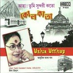 Besh Chhilaam Aami Ekaa Usha Uthup Song Download Mp3