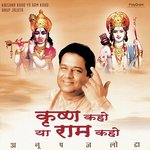 Hari Tum Haro Janki Bheer (Album Version) Anup Jalota Song Download Mp3