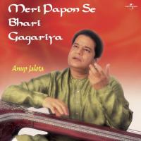 Tere Man Mein Ram (Album Version) Anup Jalota Song Download Mp3