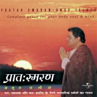 Suryopasna (Album Version) Anup Jalota Song Download Mp3