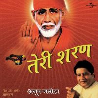 Teri Sharan Hain Hum (Album Version) Anup Jalota Song Download Mp3