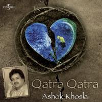 Qatra Qatra (Album Version) Ashok Khosla Song Download Mp3