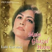 Tum Apne Se Mujh Ko (Album Version) Lalit Gurwara Song Download Mp3