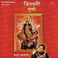 Niranjano Tumi (Album Version) Anup Jalota Song Download Mp3