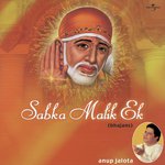 Shri Matre Namah (Devi And Mahalakshmi Stuti) (Album Version) Anup Jalota Song Download Mp3