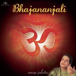 Chhod Kar Sare Pagalpan (Album Version) Anup Jalota Song Download Mp3