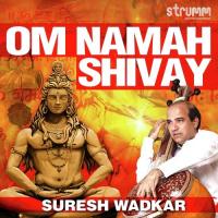 Om Namah Shivay Suresh Wadkar Song Download Mp3