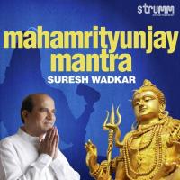 Mahamrityunjay Mantra Suresh Wadkar Song Download Mp3