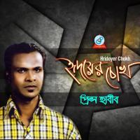 Shukh Pakhi Moyna Prince Habib Song Download Mp3