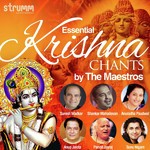 Hare Krishna Mahamantra - Fusion Mix Sonu Nigam Song Download Mp3