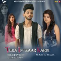 Tera Intzaar Kardi Ansh Gaba Song Download Mp3