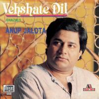 Peete Hain Jhoom Jhoom Ke (Album Version) Anup Jalota Song Download Mp3