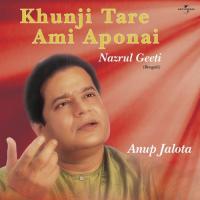 Amar Aponar Cheye Apan (Album Version) Anup Jalota Song Download Mp3