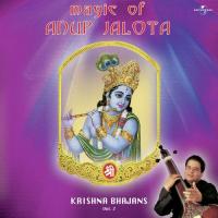 Radha Ke Bina Shyam Adha (Live) Anup Jalota Song Download Mp3