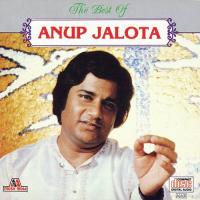 Ram Ramaiya Krishna Kanhaiya (Album Version) Anup Jalota Song Download Mp3