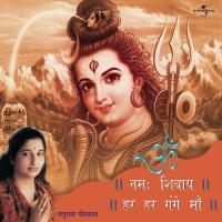 Shiv Dhuni..Om Namah Shivaye Om Namah Shivaye (Album Version) Anuradha Paudwal Song Download Mp3