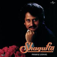 Usko Gale Lagana Saaqi (Album Version) Pankaj Udhas Song Download Mp3