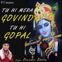 Tu Hi Mera Govind Tu Hi Gopal Ravinder Bhatia Song Download Mp3