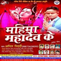 Bol Bam Bol Anil Nidardi Song Download Mp3