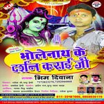 Bhole Dani Ke Bhim Diwana Song Download Mp3