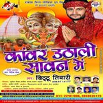 Sabhe Kawariya Jhum Ke Nachi Bittu Tiwari Song Download Mp3