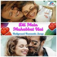 Dil Tere Naam (Duet) Abhijeet,Alka Yagnik Song Download Mp3