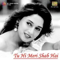 Pehla Nasha (From "Jo Jeeta Wohi Sikandar") Sadhana Sargam,Udit Narayan Song Download Mp3