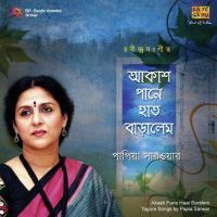 Shukhohin Nishidin Papia Sarwar Song Download Mp3